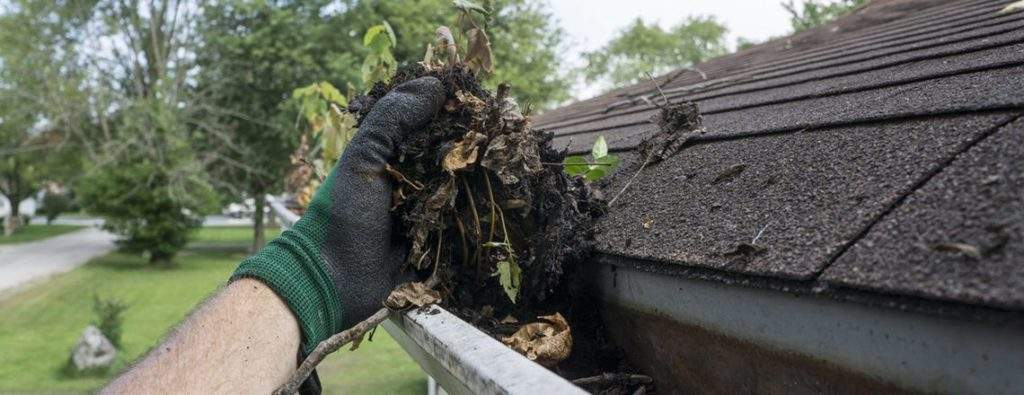 gutter cleaning