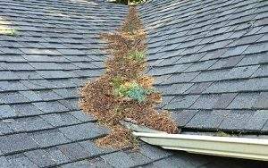 roof cleaning, roof repair, spring roof maintenance tips, marks custom exteriors, roof shampoo